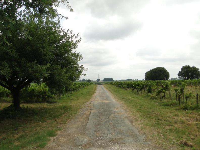 Tauriac  Chateau Monichot Organic Vineyard מראה חיצוני תמונה
